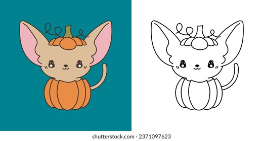 Cute Halloween Sphynx Cat Clip Illustration und Schwarz-Weiß. Kawaii Clip Art Halloween Haustier. Cute Vektor Illustration eines Kawaii Halloween-Tieres in einem Kürbis. 