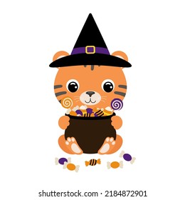 Cute Halloween tiger in witch hat holding a pot with candies. Cartoon animal character for kids t-shirts, nursery decoration, baby shower, greeting card, invitation. Vector stock illustration