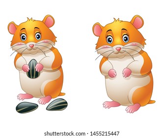 Cute hamster cartoon illustration collection