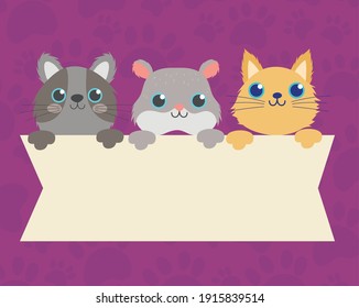 süße Hamster und Katzen mit leerer Vektorgrafik
