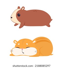 Cute-Hamster-Zeichen mit Stout Body Lying and Sleeping Vector Set