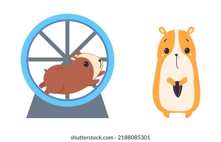Cute Hamster Character with Stout Body Whirling Wheel and Holding Sunflower Seed Vector Set