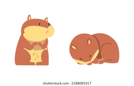 Cute Hamster Character with Stout Body Standing and Cuddling Vector Set