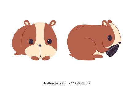 Cute Hamster Character with Stout Body Sitting and Eating Sunflower Seed Vector Set