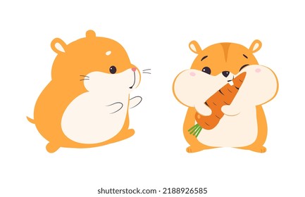 Cute Hamster Charakter mit Stout Body Walking und Eating Carrot Vector Set