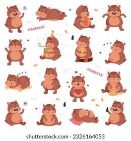 Cute Hamster Character with Stout Body Engaged in Different Activity Vector Set