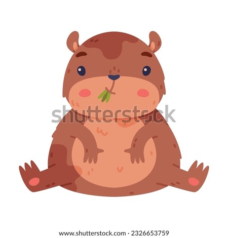 Cute Hamster Character with Stout Body Sitting and Chewing Grass Vector Illustration