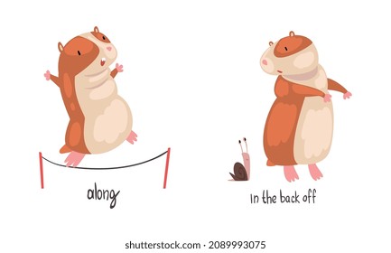 Cute Hamster Demonstrating English Language Preposition Word Vector Set