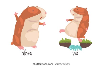 Cute Hamster Demonstrating English Language Preposition Word Vector Set