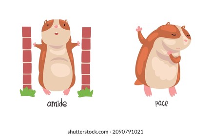 Cute Hamster demonstriert Deutsch Präposition Word Vector Set