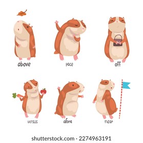 Cute hamster demonstrating English language prepositions of place set. Above, pace, off, versus, afore words. Educational material for kids education cartoon vector illustration