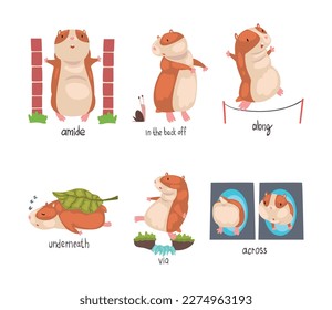 Cute hamster demonstrating English language prepositions of place set. Back off, along, underneath, via, across words. Educational material for kids education cartoon vector