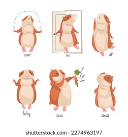 Cute hamster demonstrating English language prepositions of place set. Over, out, up, failing, save, circa words. Educational material for kids education cartoon vector illustration