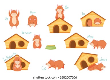 Cute Hamster demonstriert englische Vorstellungen von Place and Movement Vector Set