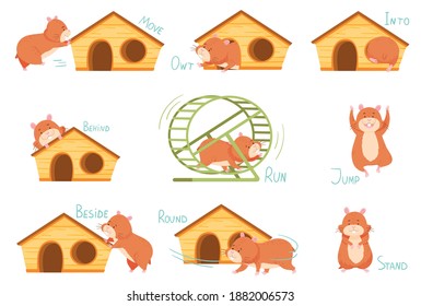 Cute Hamster Demonstrating English Verbs and Prepositions of Place and Movement Vector Set