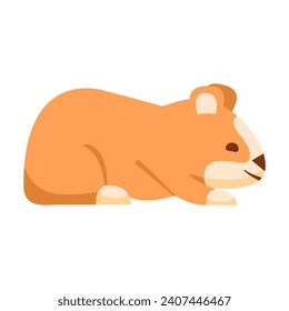 Cute hamster eating. Cartoon hamster character.Funny animal a pet.Isolated on white background.Vector flat illustration.