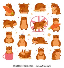 Cute hamster in everyday activities big set. Funny brown pet rodent cartoon vector illustration