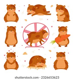 Cute hamster in everyday activities set. Funny brown pet rodent eating, sleeping and running in wheel cartoon vector illustration