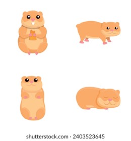 Cute hamster icons set cartoon vector. Animal rodent. Cartoon character