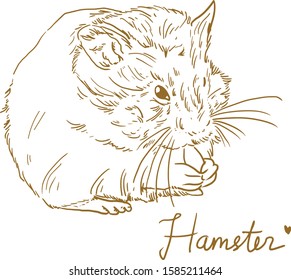 A cute hamster line art vintage drawing eating sunflower seeds