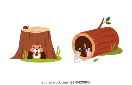 Cute hamster and mice animals in burrows set cartoon vector illustration