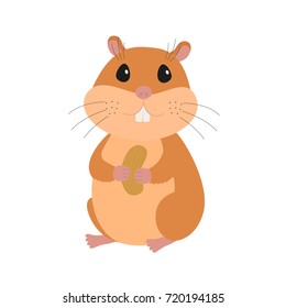 Cute Hamster With A Nut
