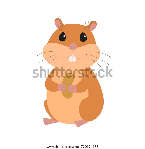 hamster nut