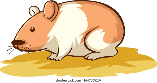 Cute hamster on white background illustration