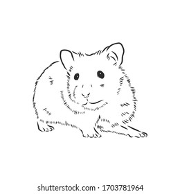 cute hamster, pet, rodent, vector sketch illustration