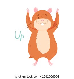 Cute Hamster Raising Paws Up Demonstrating English Verb Vector Illustration