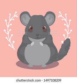 Cute Hamster Rodent Animal Baby