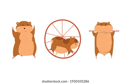 Cute Hamster as Small Pet with Cheek Pouches Turning Wheel and Smiling Vector Set