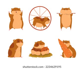 Cute Hamster as Small Pet with Cheek Pouches Engaged in Different Activity Vector Set