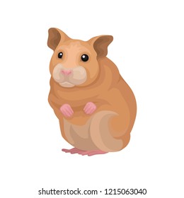 Cute hamster small rodent animal vector Illustration on a white background