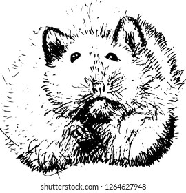 Cute Hamster. Vector illustration.