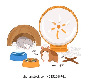 Cute hamster vector illustration with hamster supplies. A view of the hamster kennel.