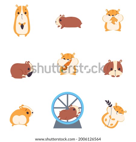 Cute Hamsters Set, Adorable Funny Red Pet Animals Cartoon Vector Illustration