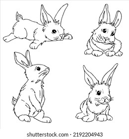 Cute hand draw rabbit in different poses. Set of illustrations of bunny on white background