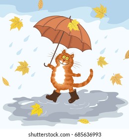 Cute hand drawing cartoon cat, umbrella, rain and puddles. Vector illustration. Hello, Autumn.