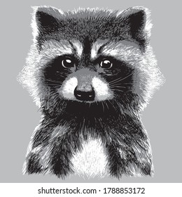 Cute  hand drawing raccoon sketch. Vector monochrome illustration.