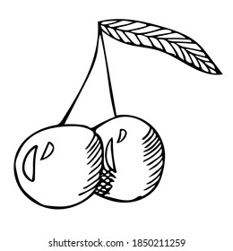Cute hand drawing two cherries and a leaf.  Vector doodle illustration, for the menu of restaurants and cafes, design of cards and congratulations, children's illustrations.