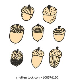 Cute hand drawn acorns. Vector set