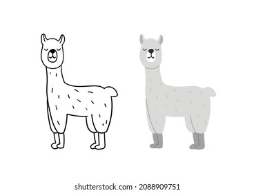 Cute hand drawn alpaca. Animal lama vector illustration.