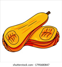 objetos de otoño dibujados a mano. Calabaza. Colección de elementos de scrapbook para la fiesta de otoño. Ilustración del vector aislada en fondo blanco