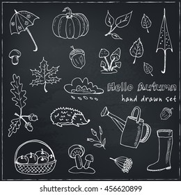 cute hand drawn autumn set vector illustration
