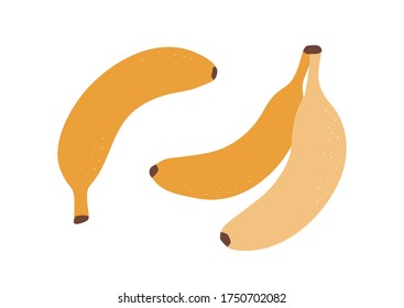 バナナ 白バック のベクター画像素材 画像 ベクターアート