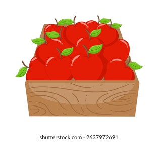 Cute Hand Drawn Boxes of Fresh Apple