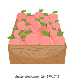 Cute Hand Drawn Boxes of Fresh Peaches