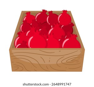 Cute Hand Drawn Boxes of Fresh Pomegranates