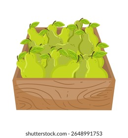 Cute Hand Drawn Boxes of Fresh Pears